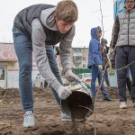 На ул.Динамовцев высадили 100 яблонь