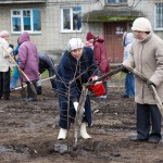 На ул.Динамовцев высадили 100 яблонь
