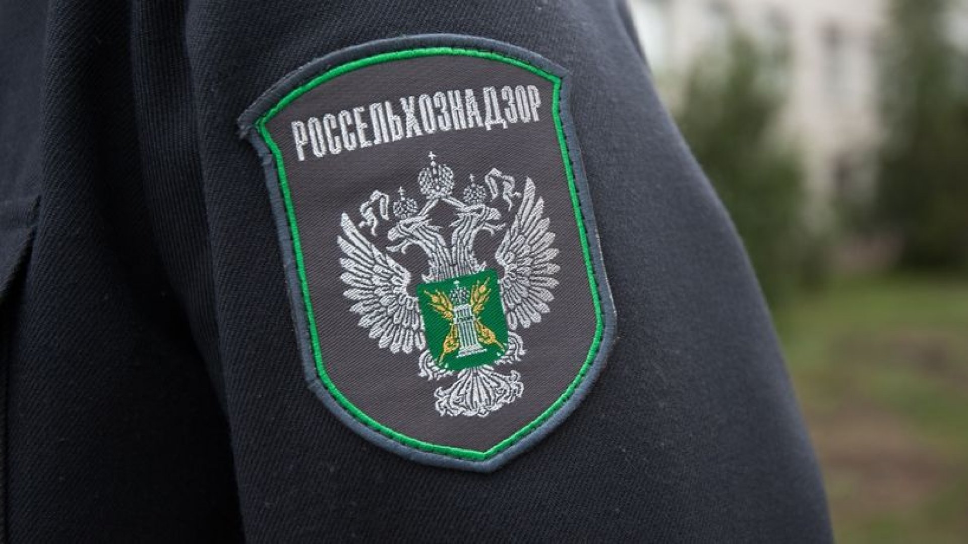 Россельхознадзор не пропустил более 70 тонн растительной продукции