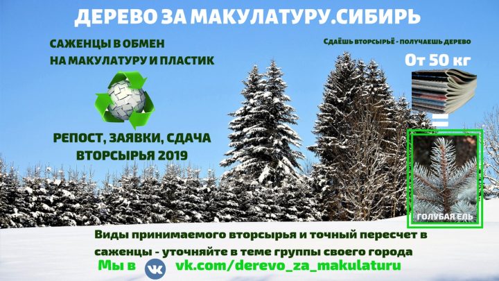 Новосибирцам предлагают сдать макулатуру и посадить дерево