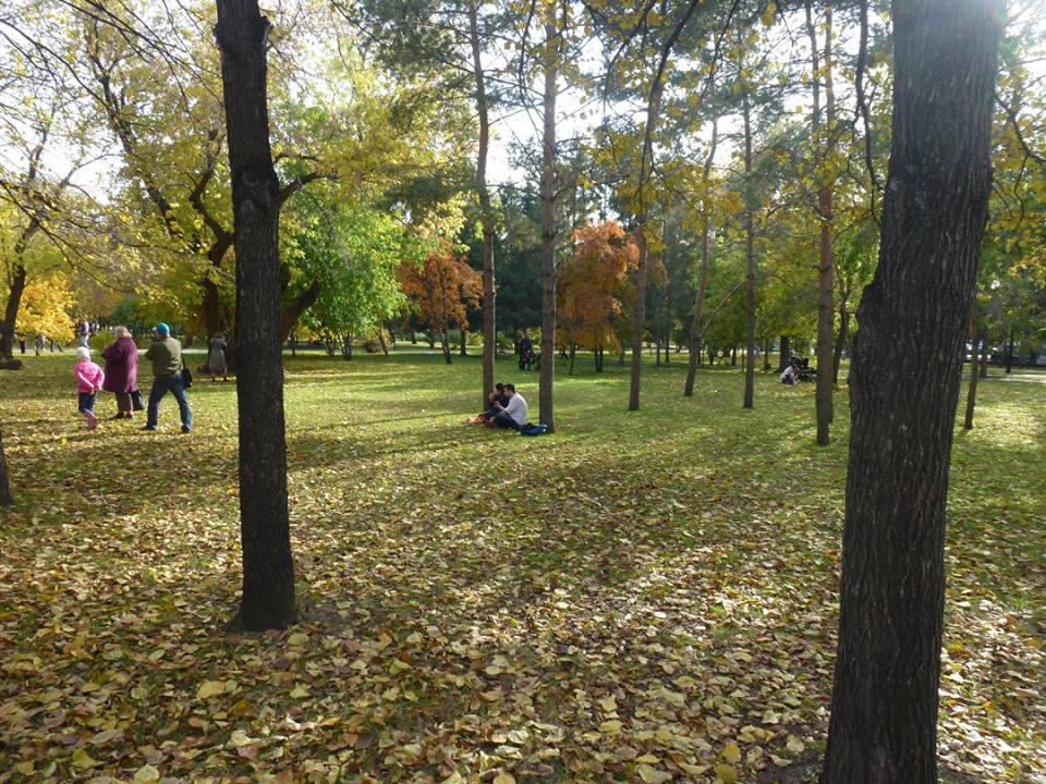 После первого снега в Новосибирск вернётся долгожданное тепло