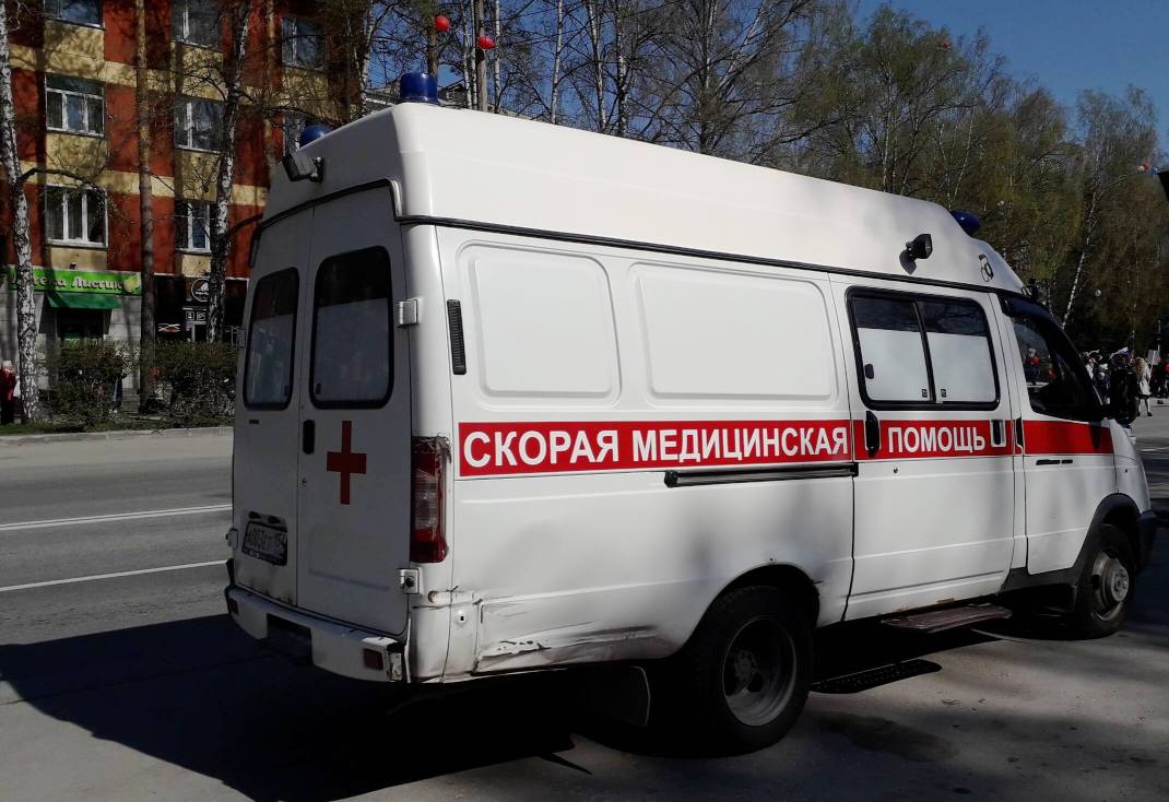 В Академгородке мертвый водитель сбил насмерть двух собак