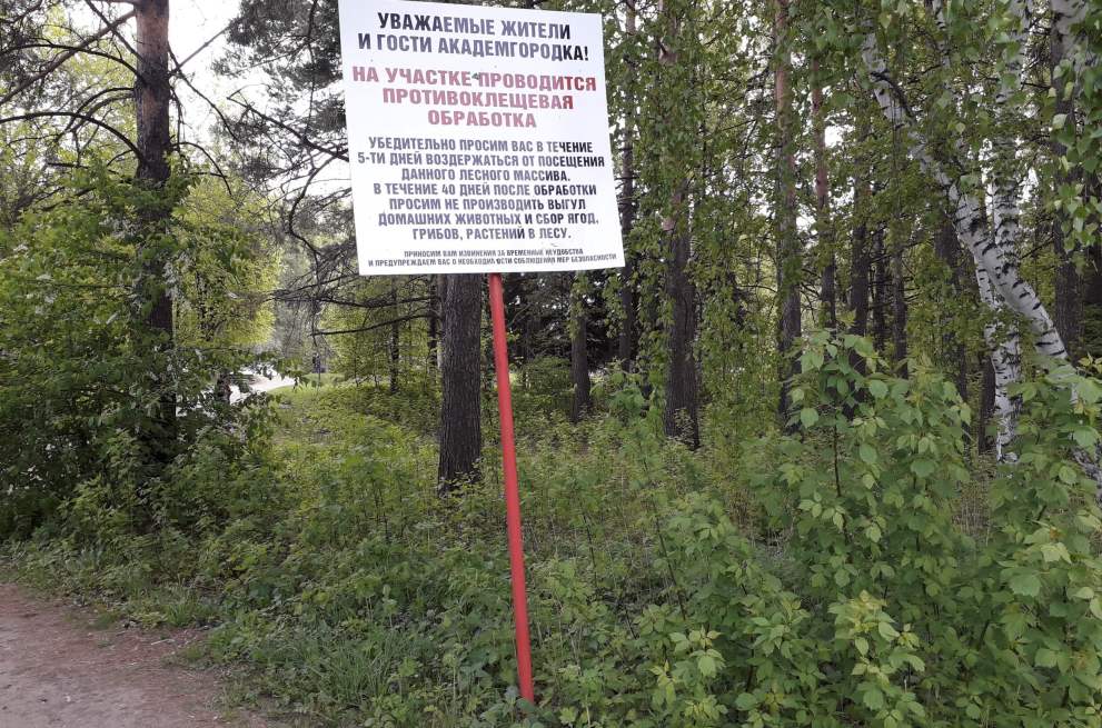 Активность клещей в НСО увеличилась в два раза