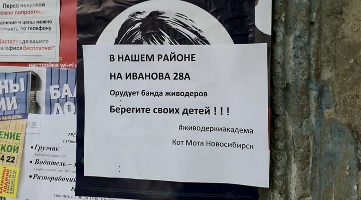 В микрорайоне Щ вновь обличают живодерок