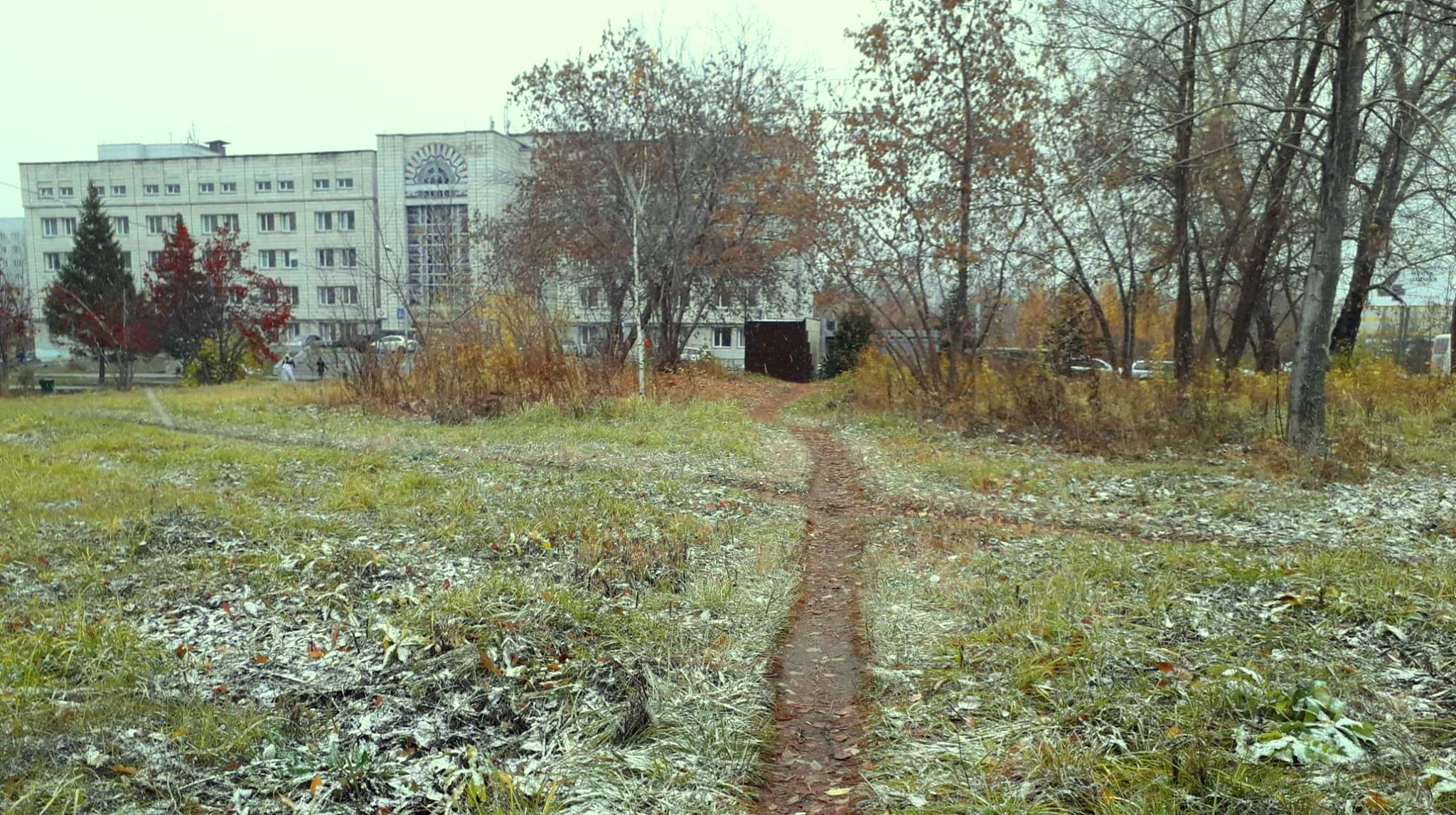 Два слова о погоде: заморозки и гололедица