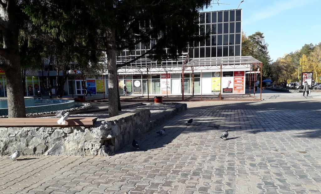 Жителей Академгородка просят не кормить «летающих крыс»