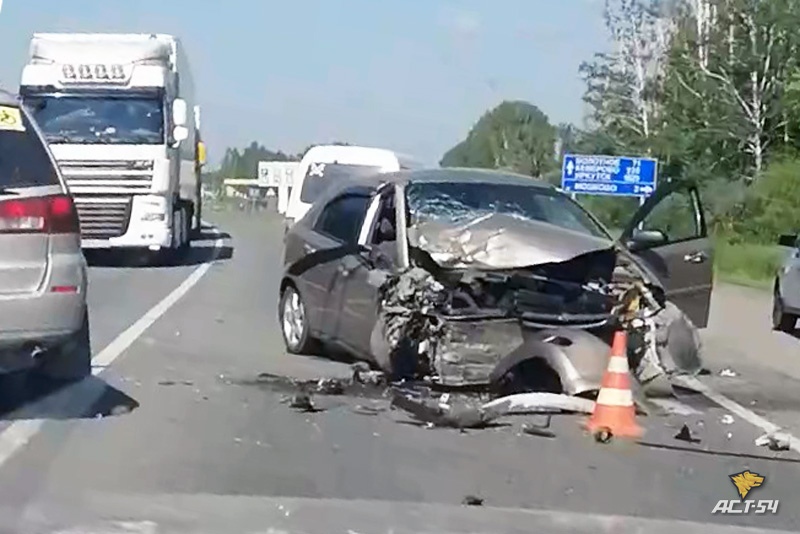 Лось на дороге стал причиной крупной аварии в Новосибирской области
