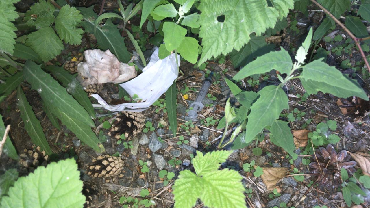 Жители дач в Нижней Ельцовке жалуются на наркозакладки