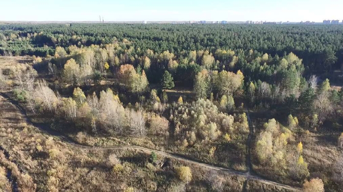 Многоэтажную застройку Нижней Ельцовки исключили из генплана