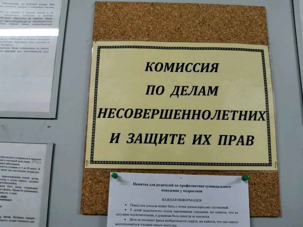 Региональные власти проверят скандальный центр «Чеширский кот»
