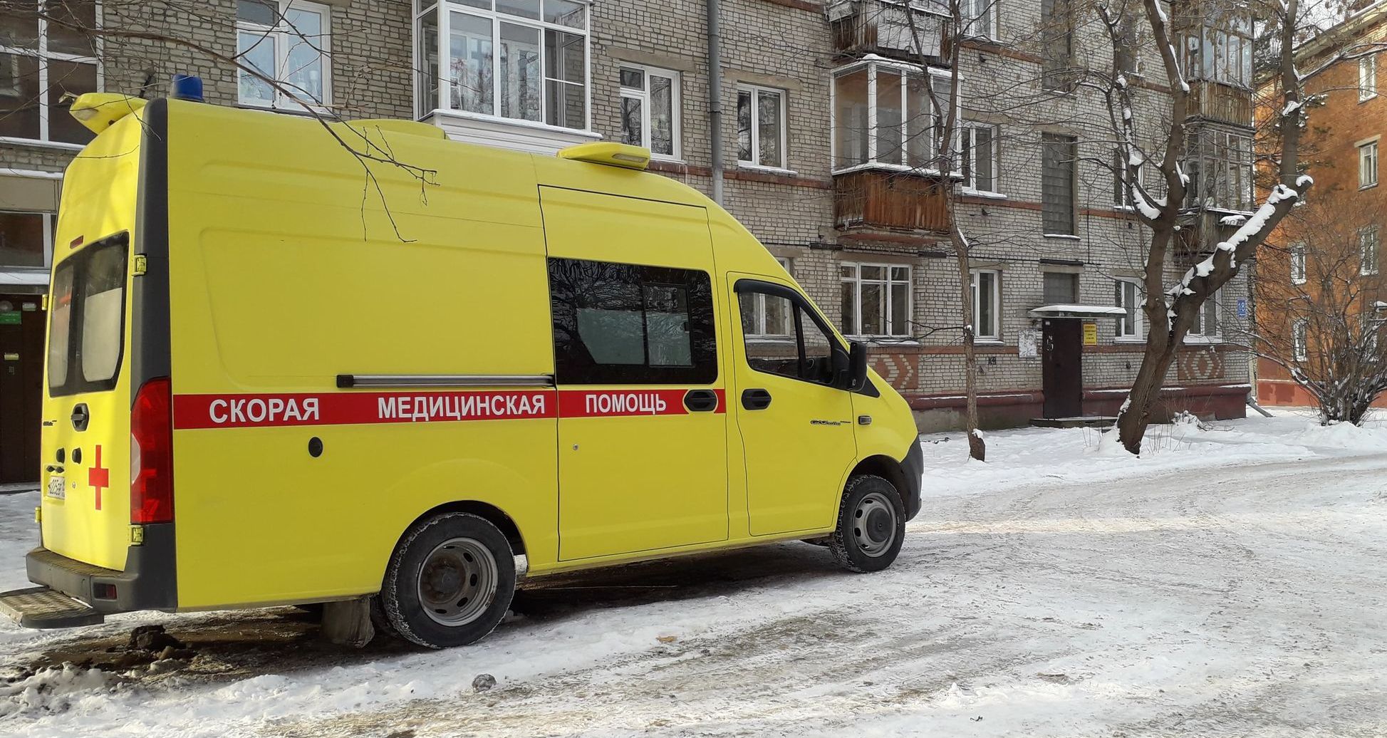 Семнадцать пациентов за сутки умерли в Новосибирской области от