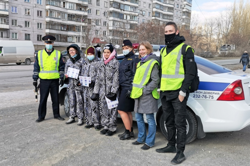 Зебры вышли на улицы Советского и Ленинского районов Новосибирска