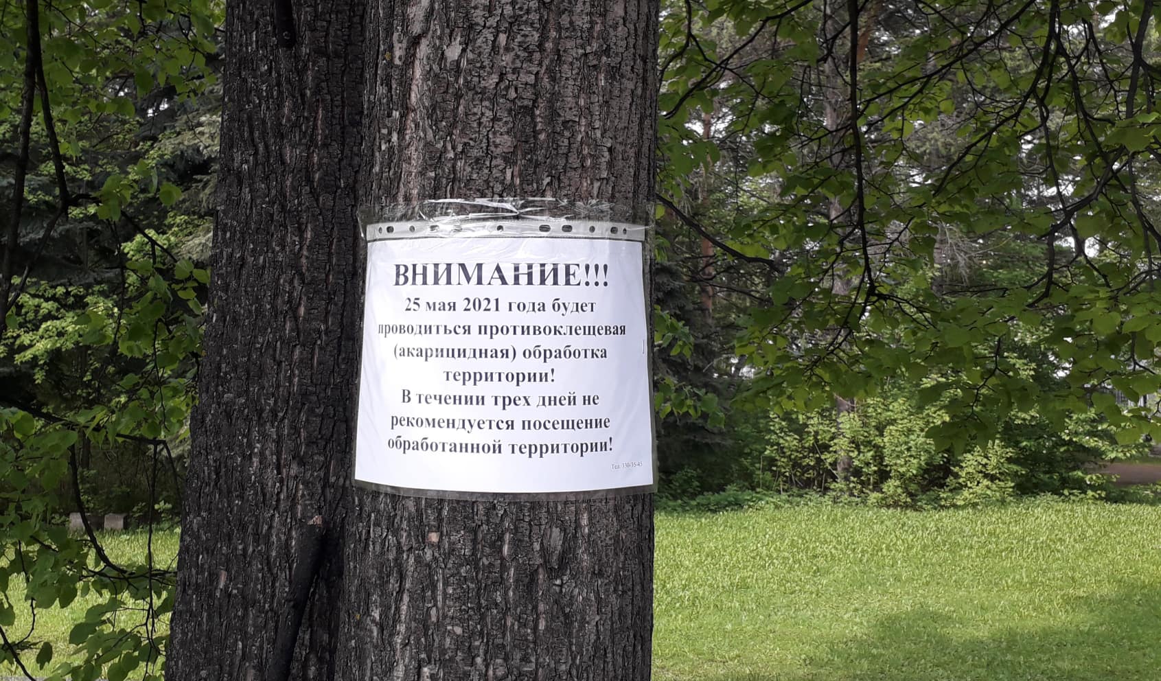 Противоклещевая обработка стартует в парках Новосибирска 1 мая