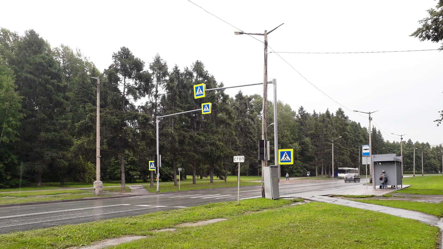 Новосибирские ученые просят вернуть схемы движения автобусов № 52 и