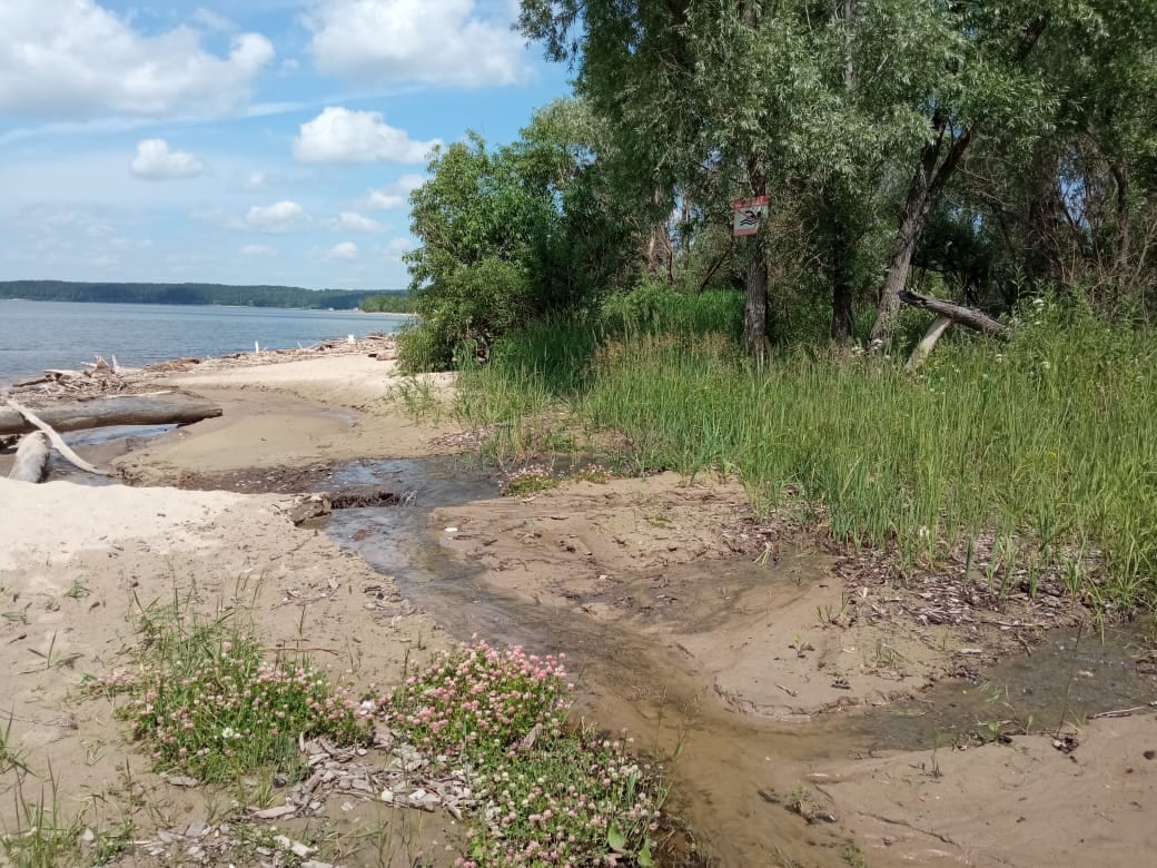 Из-за выбросов фекалий новосибирцам запретили купаться в Обском море