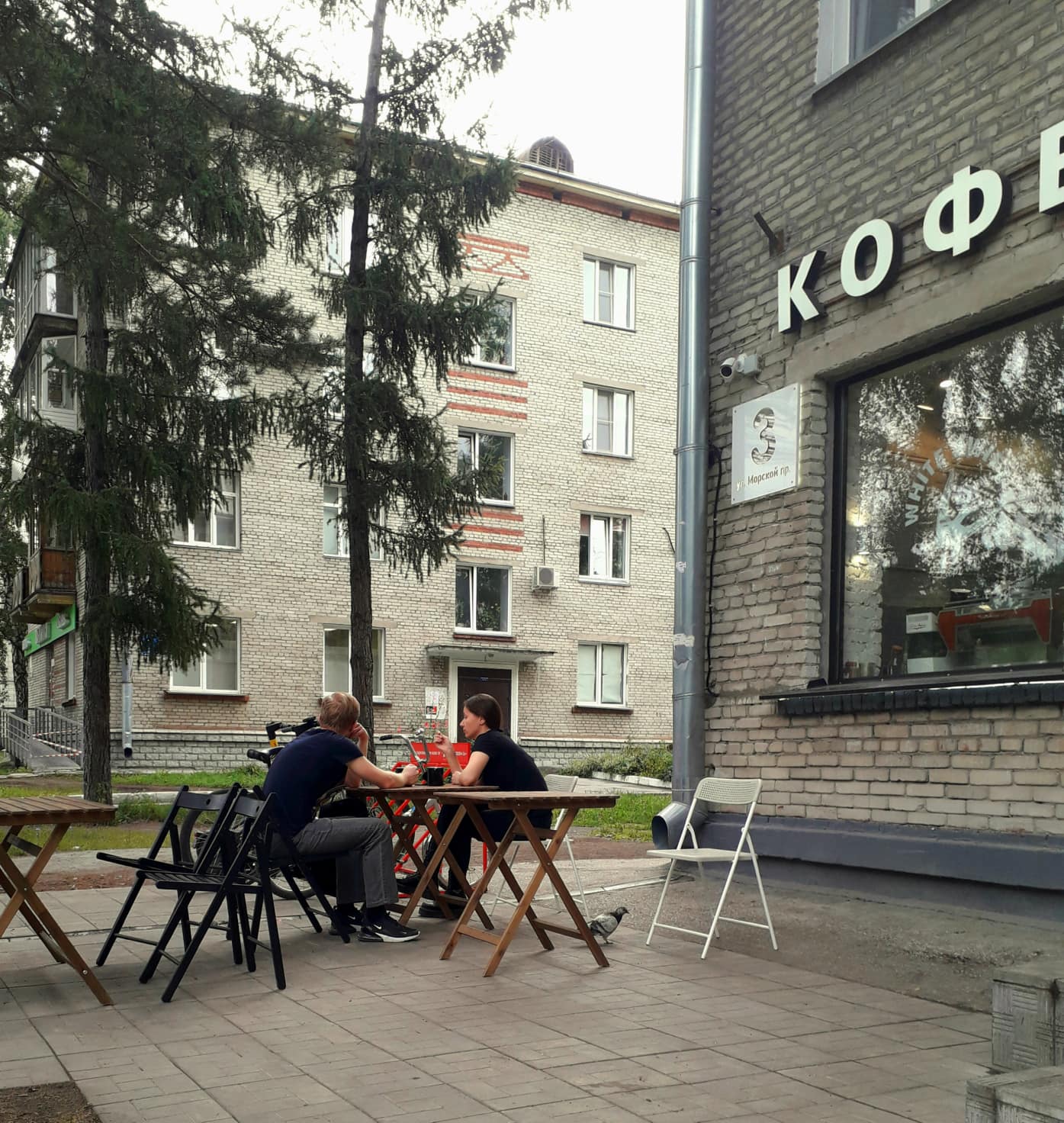 Кофейне Академгородка возвращен украденный &laquo;Наполеон в кедах&raquo;