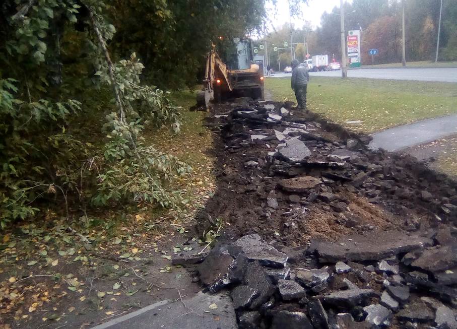 Почему ремонт тротуаров в новосибирском Академгородке идёт осенью?
