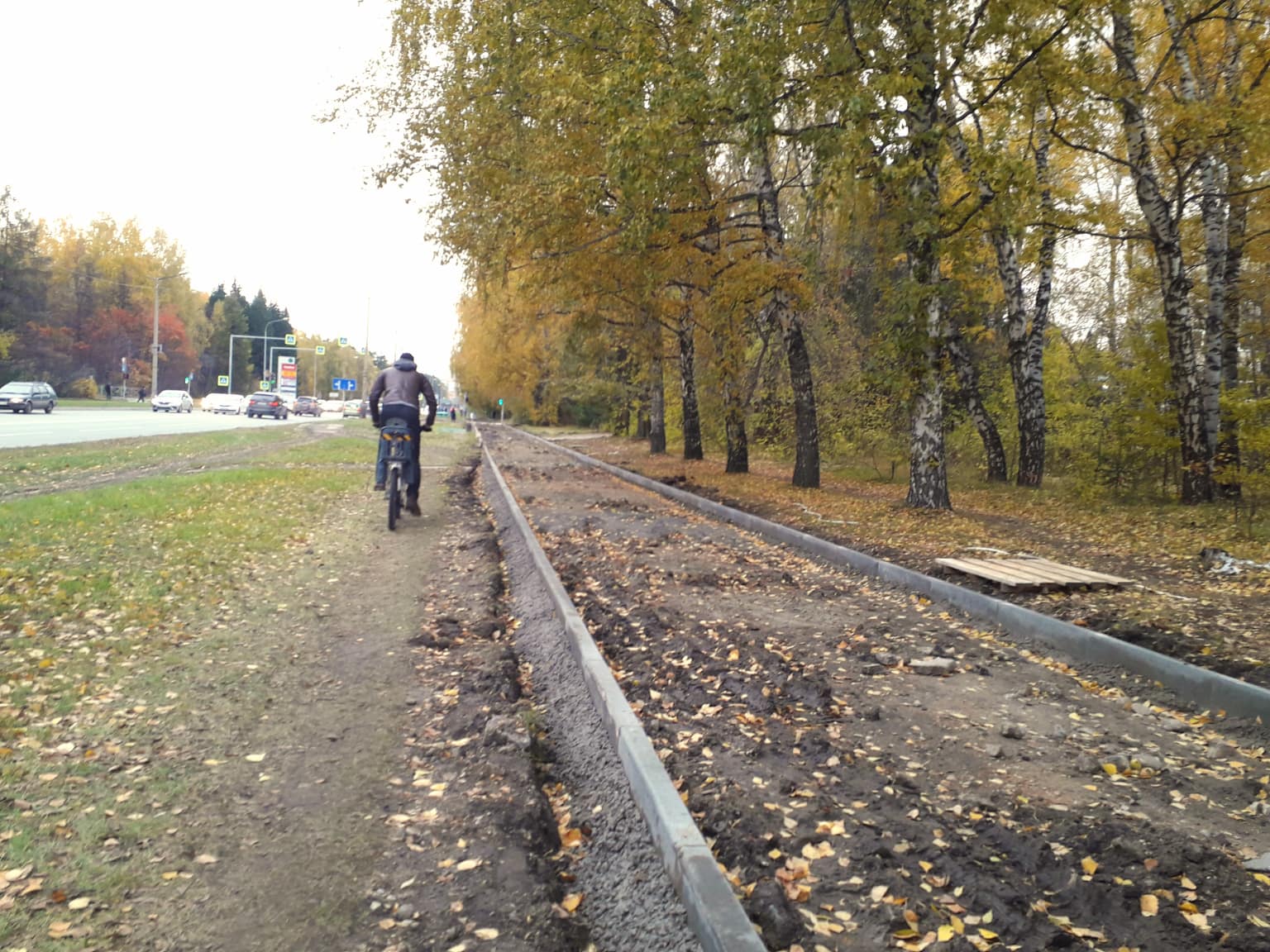 В Академгородке собираются восстановить велодорожки