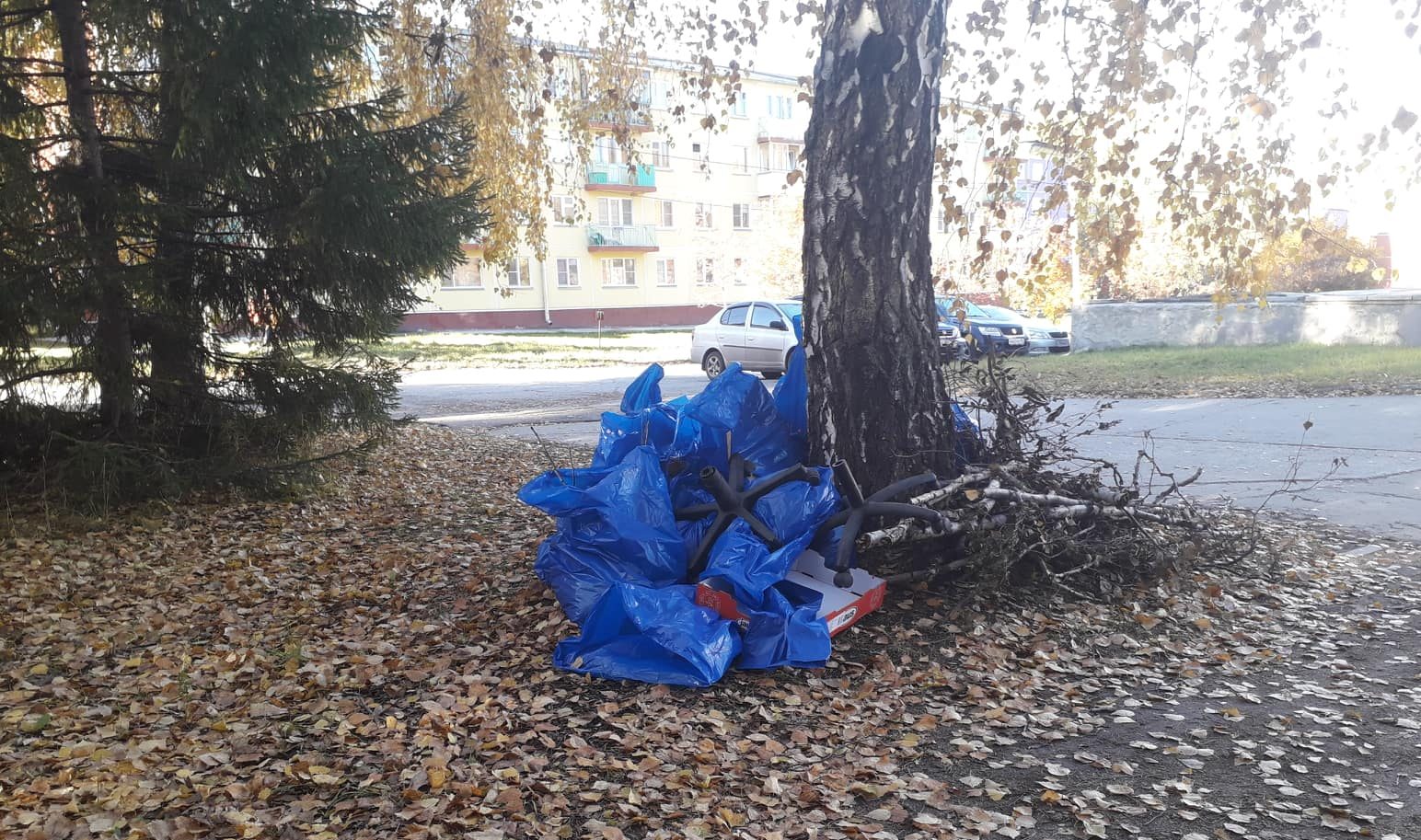Общегородской субботник Новосибирска состоится 15 октября