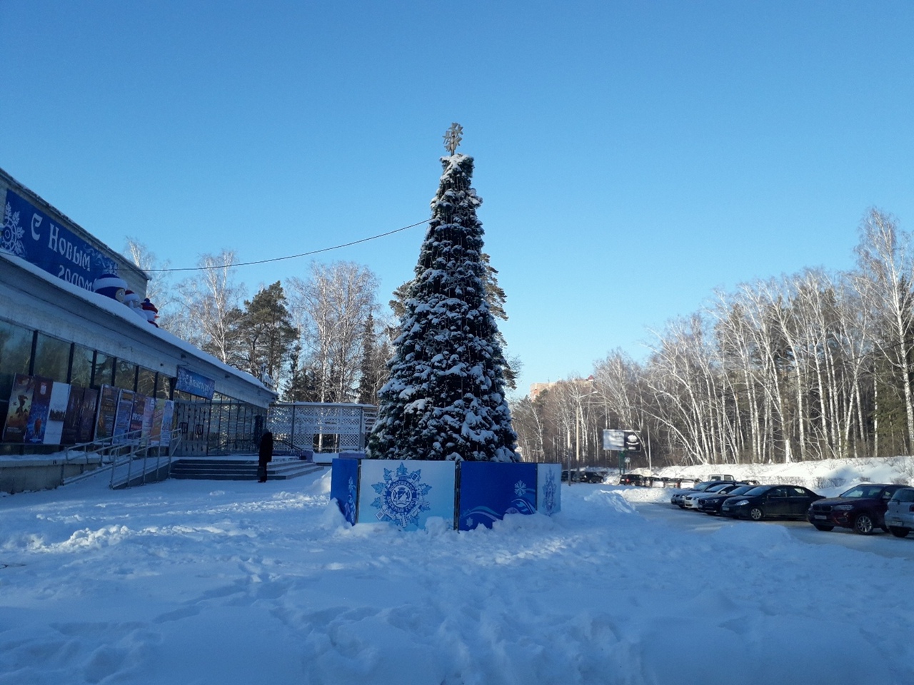 Новогодние каникулы в новосибирских школах продлятся до 9 января