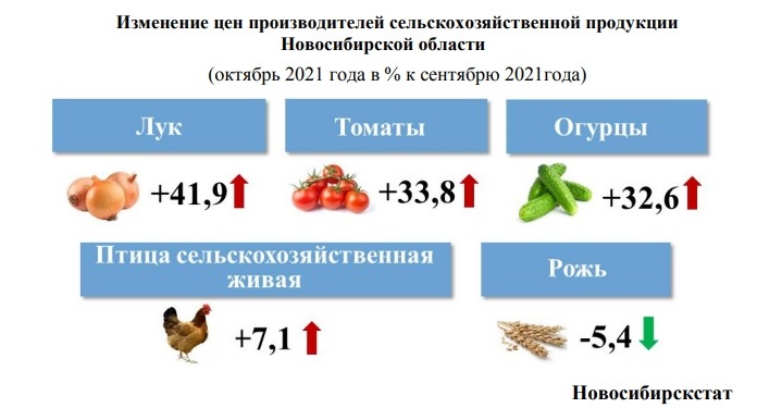 В Новосибирской области сильно подорожали лук и помидоры