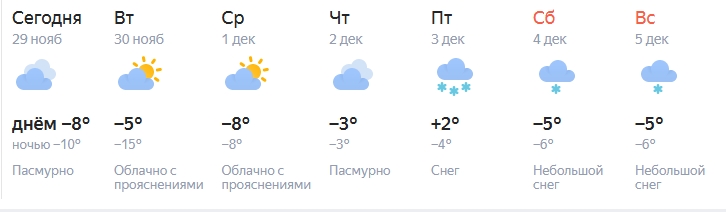 Декабрь в Новосибирске начнётся с потепления до +2 градусов