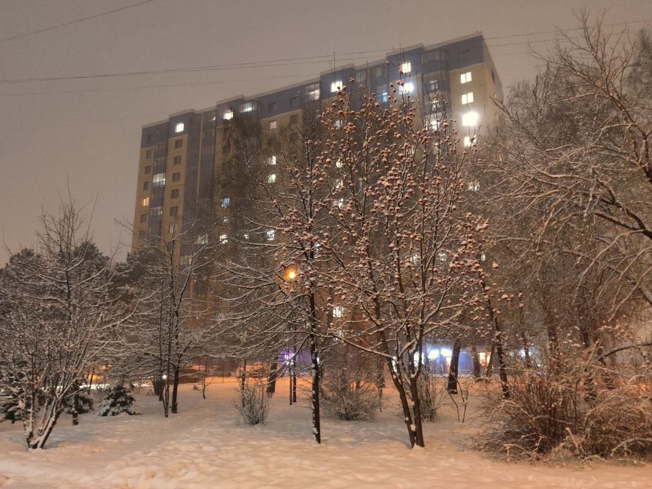В ночь на воскресенье в Новосибирской области похолодает до -30