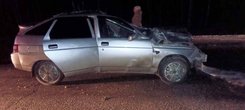 Под Новосибирском водитель ВАЗа врезался в лошадь и погиб