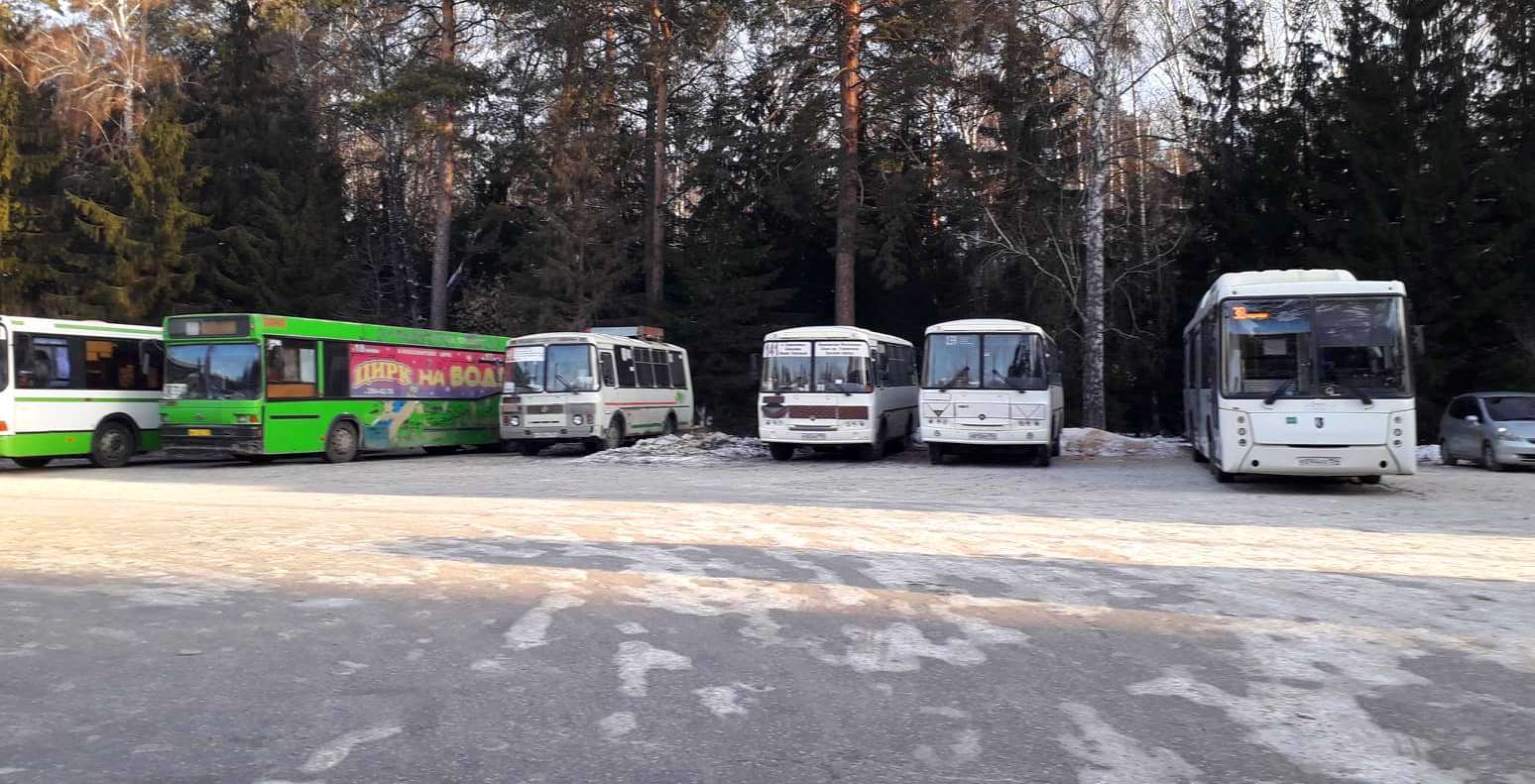 Изменений автобусных маршрутов ПАТП-4 хотят не все новосибирцы