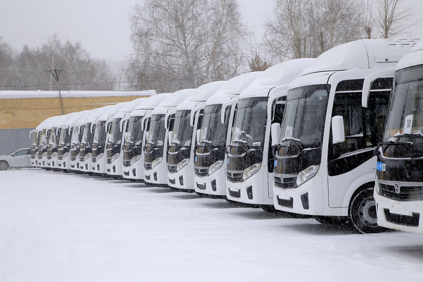 Первая партия новых автобусов ПАЗ &laquo;Вектор&raquo; прибыла в Новосибирск