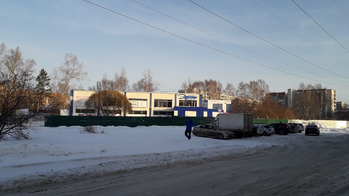 Знаменитую иву у новосибирского ТЦ &laquo;Эрнест&raquo; все же снесут