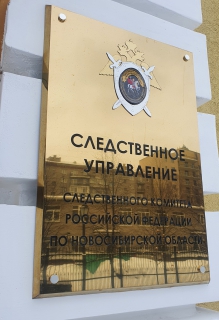 Под Новосибирском задержана мать двух умерших младенцев в Шагалово