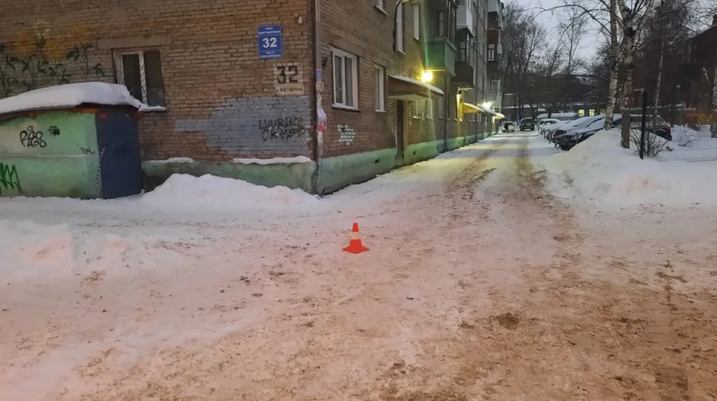 После смерти в Новосибирске 2-летнего пешехода возбуждено уголовное