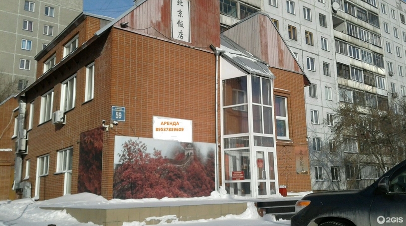 Новосибирцы пожаловались на бегающих по подъездам крыс