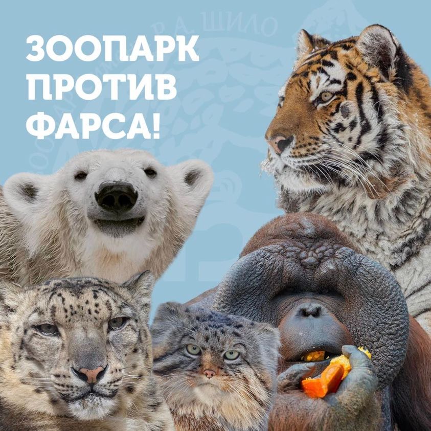 В Новосибирске остановили голосование по выбору символа новогодней
