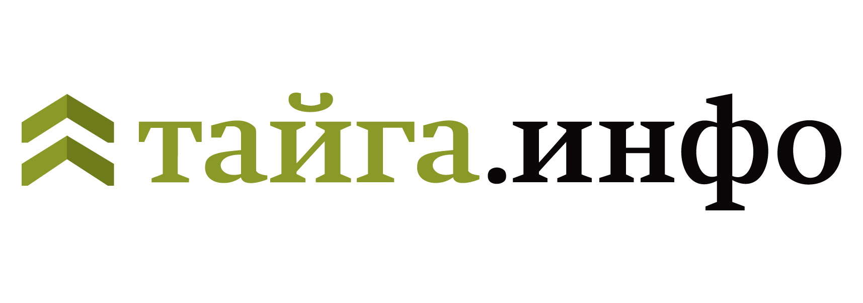 Новосибирский сайт Тайга.инфо стал недоступен для читателей