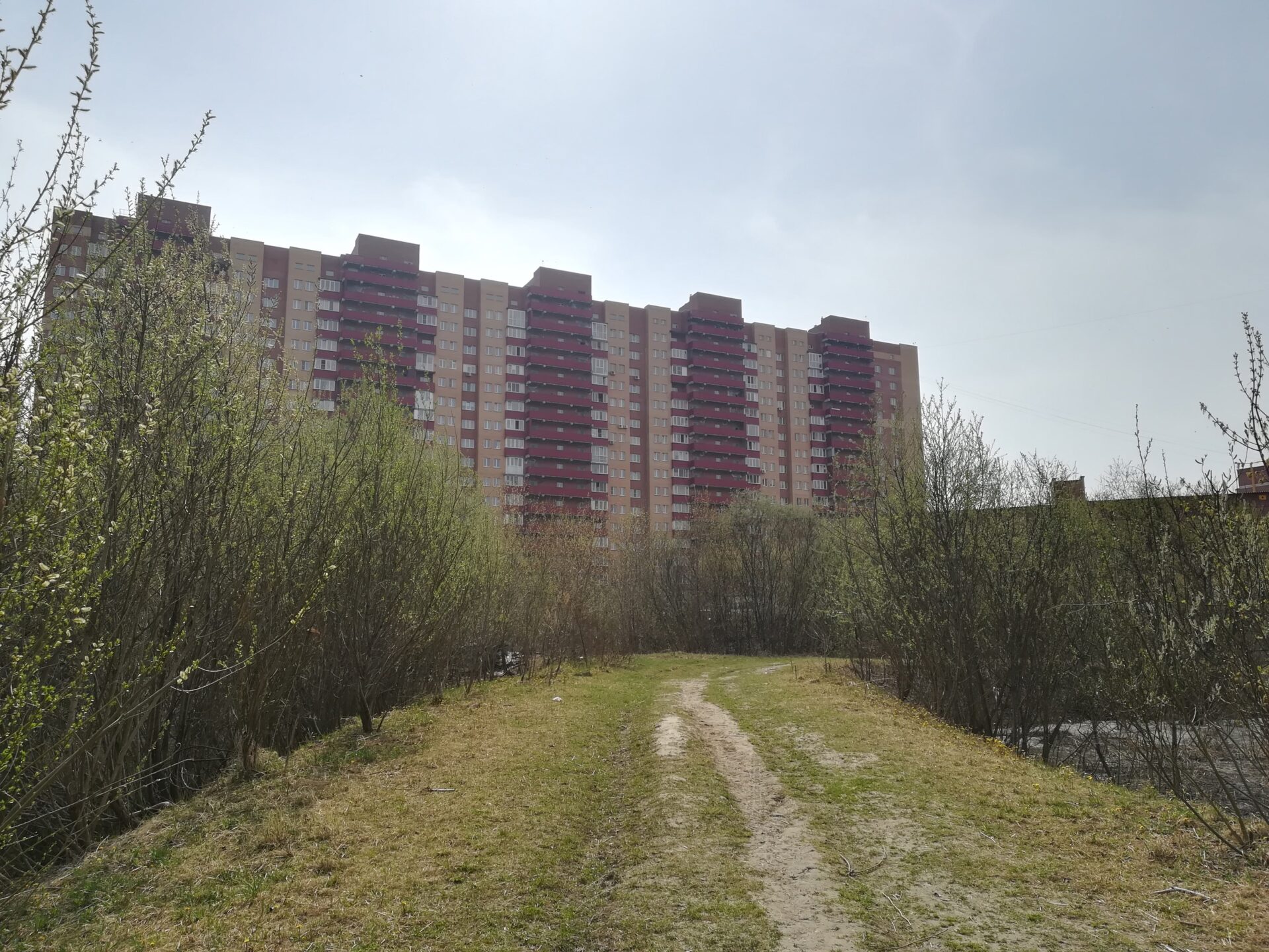 Новосибирцам предлагают выбрать имя парку в пойме реки Каменка