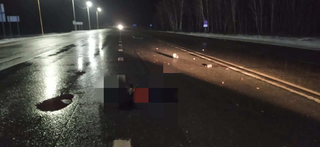 Под Новосибирском неизвестный водитель насмерть сбил пожилого пешехода