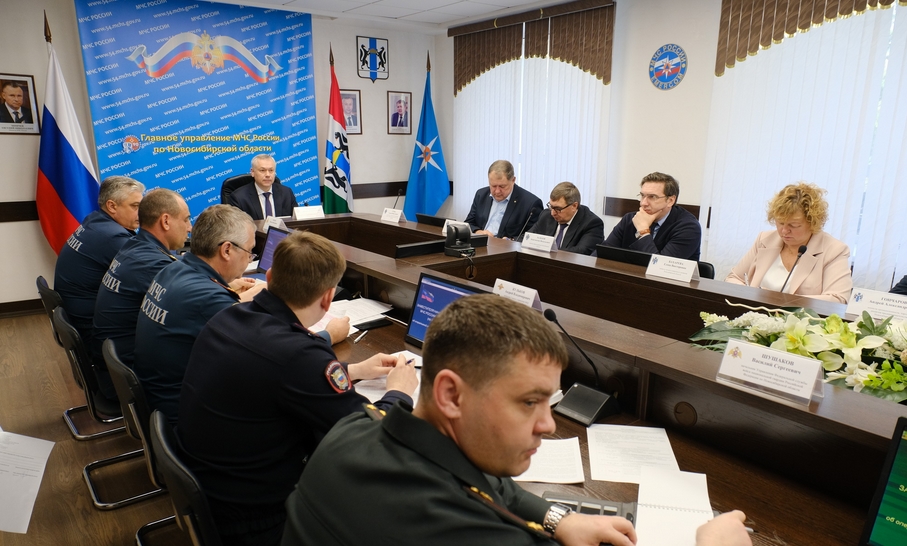 В Новосибирской области усилят борьбу с поджигателями