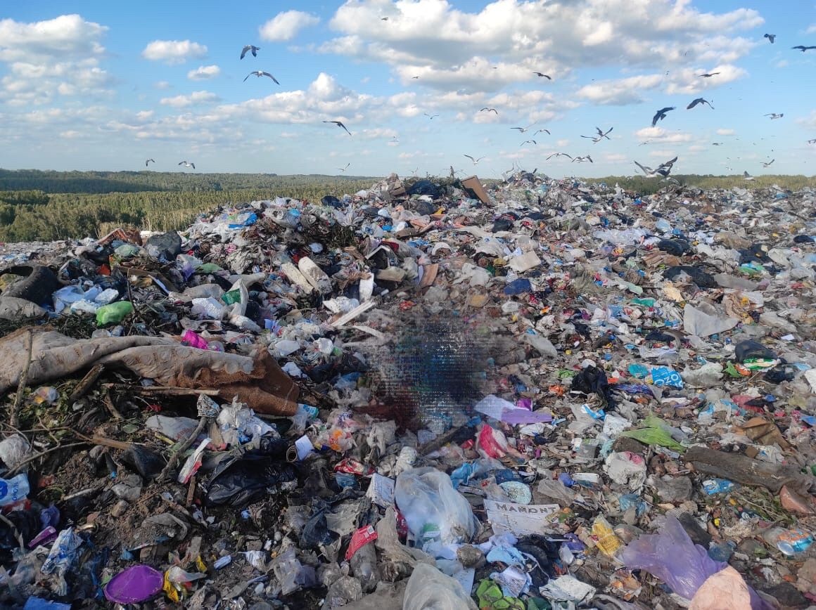 Ревнивый новосибирец зарезал соперника и выбросил тело к мусорным