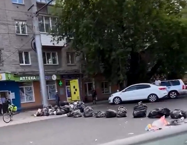 &laquo;Экология &ndash; Новосибирск&raquo; убрала мусор с дороги на Дуси Ковальчук