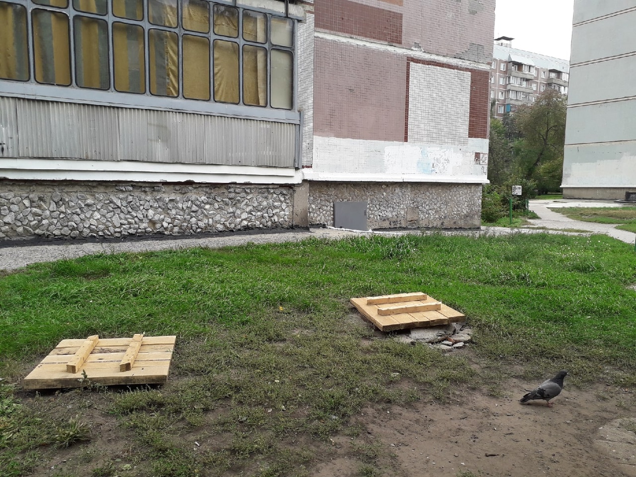В Советском районе крадут по 11 люков каждый месяц