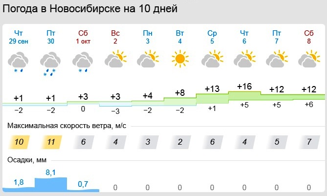 ГИБДД просит новосибирских водителей подготовиться к зиме