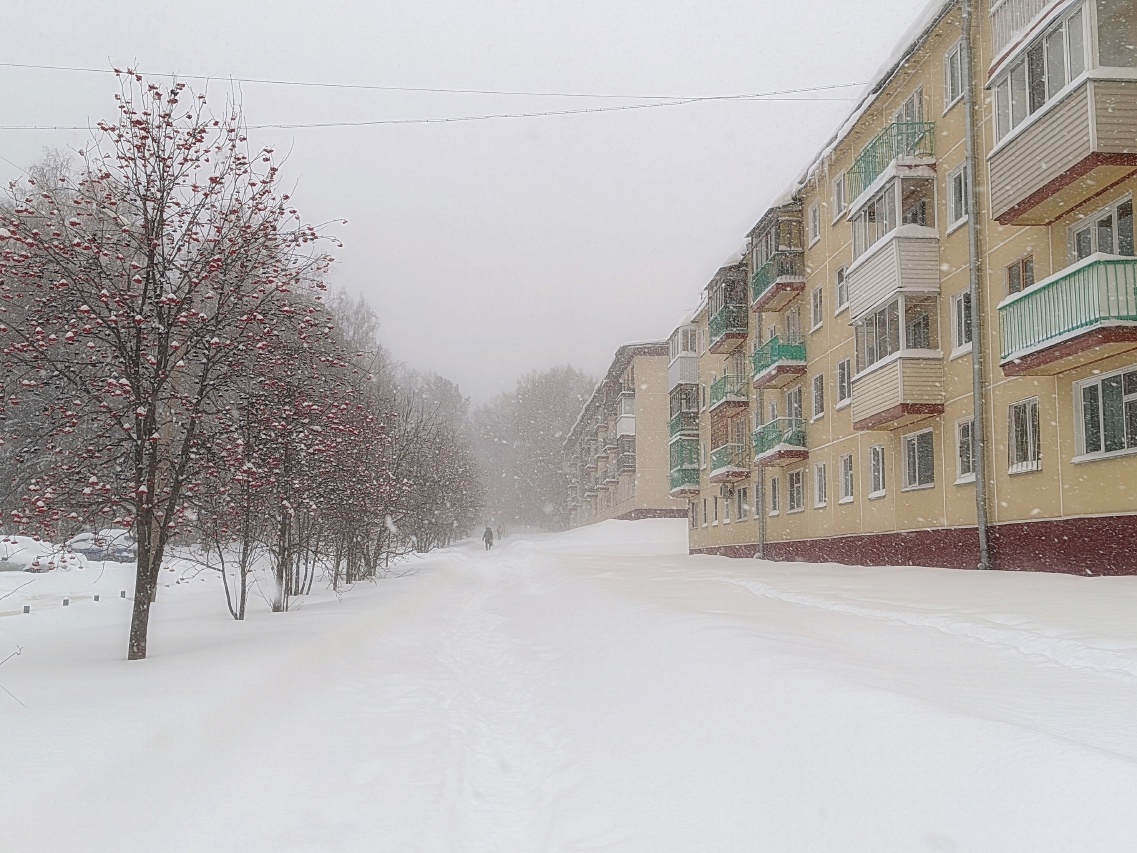 –40 °C на подходе: срочное предупреждение для жителей Новосибирска