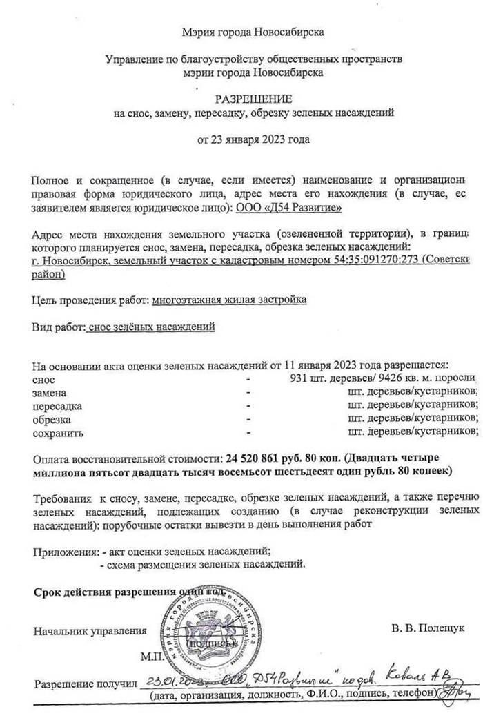 В новосибирской Нижней Ельцовке идёт рубка леса в «Юном медике»
