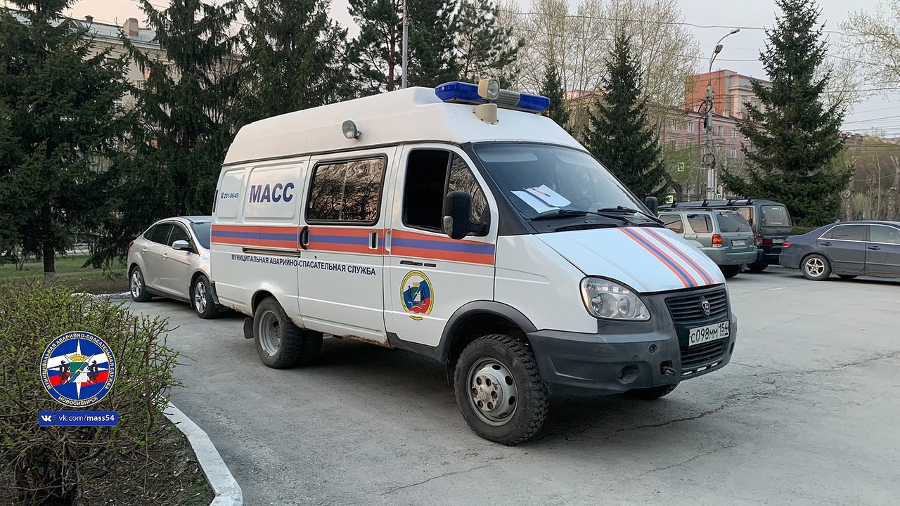 Спасатели удержали неадекватного новосибирца от прыжка с моста