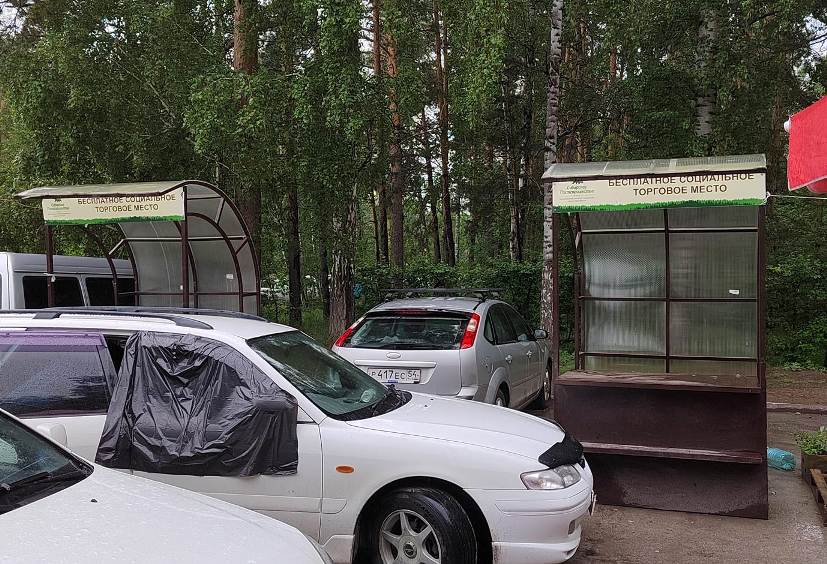В Академгородке установили социальные уличные прилавки