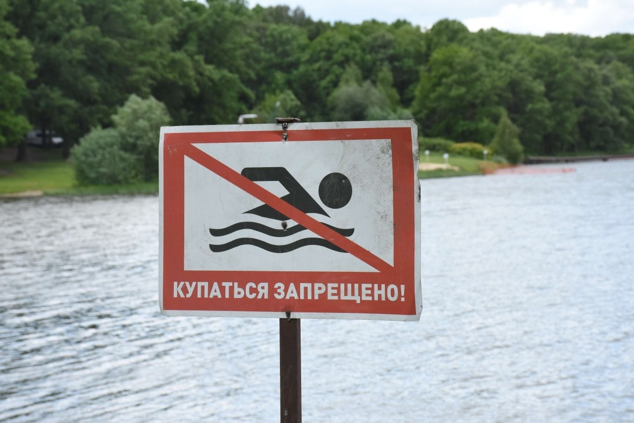 Под Новосибирском 14-летний парень утонул, спасая одноклассницу