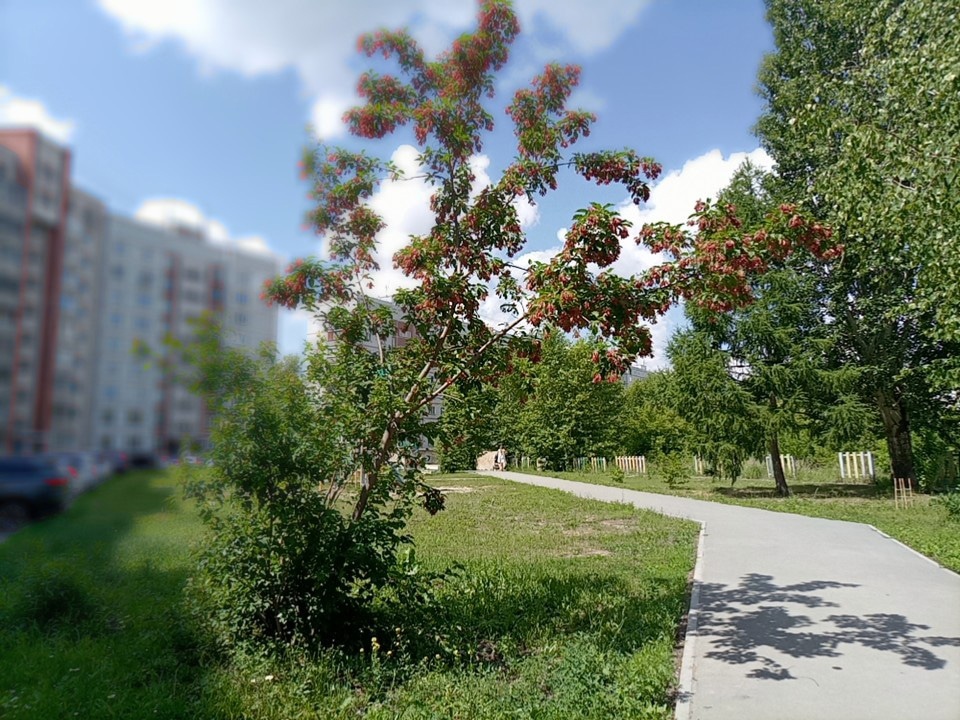 Digital-агентство: на что обращать внимание при выборе подрядчика