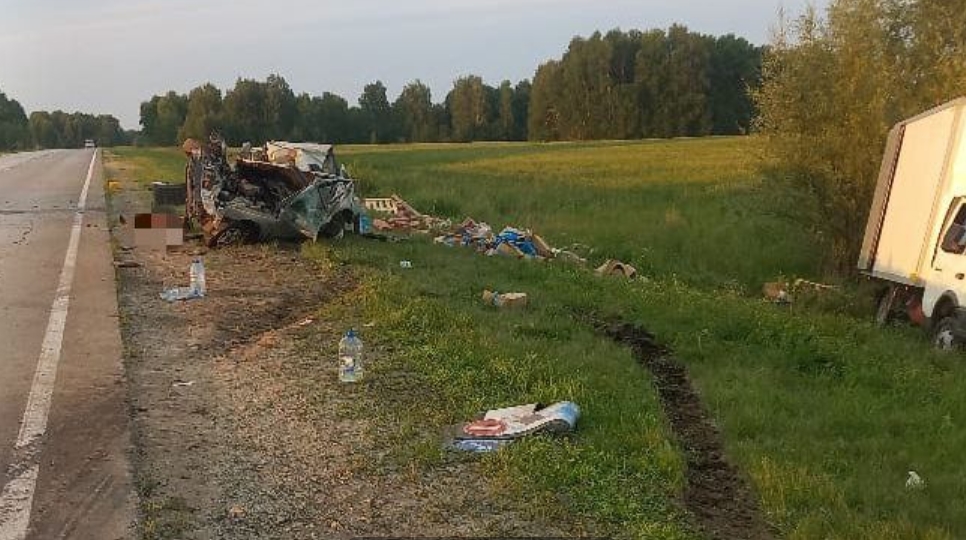 Под Новосибирском в жёсткой аварии погиб 19-летний водитель &laquo;ВАЗ-2112&raquo;